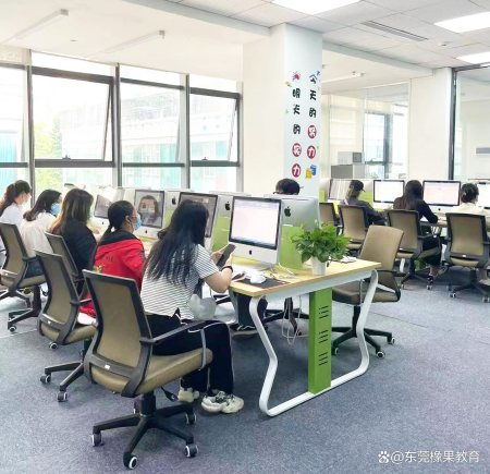 東莞清溪電腦培訓(xùn),辦公軟件word技巧