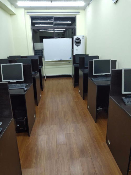 閔行山木培訓 專業電腦培訓，Office課程免費體驗開啟